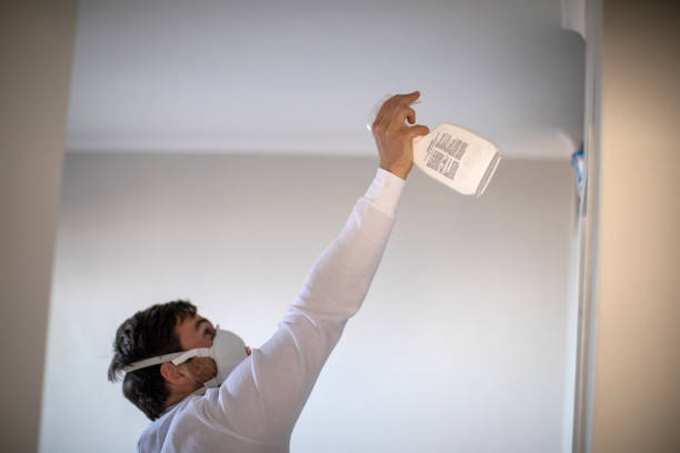 Best Insurance-Related Mold Remediation in Mountville, PA