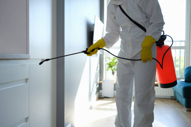 Best Preventive Mold Services in Mountville, PA